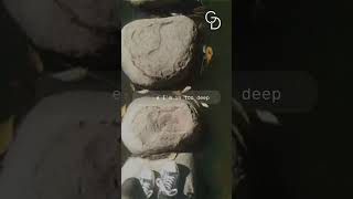 Gustav Dohm  In Between REELS music indiesong newmusic popmusic song reelsmusic [upl. by Einaffit]