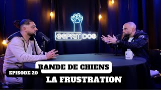 La frustration chez le chien  BANDE DE CHIENS Ep20 [upl. by Bolan]