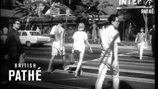 A Trip To Honolulu 1966 [upl. by Ateiram]