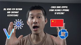 Vechain and Cardano Ecosystem BIG NEWS Chase bank bans Crypto China signals opening to Bitcoin [upl. by Lunn]