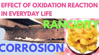 Effect of oxidation reaction in everyday life class 10  Corrosion and rancidity class 10 [upl. by Keithley]