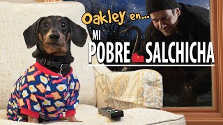 Mi perro se enfrenta a un ladrón  Parodia quotMi Pobre Angelitoquot [upl. by Violetta222]