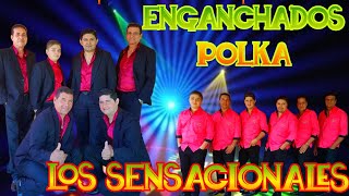 ENGANCHADOS POLKA LOS SENSACIONALES ♫PABLO LISANDRO DJ ♫ [upl. by Moe403]