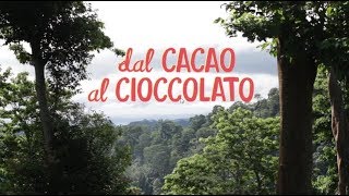 Dal cacao al cioccolato  The Fair Trade Cocoa Journey [upl. by Purcell]