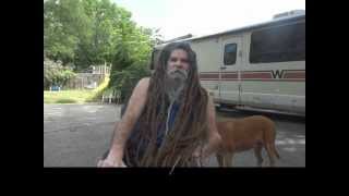 dreads 22 years natural dreadlocks neglect freeform journey no backcomb palm rolling wax or crochet [upl. by Sokram]