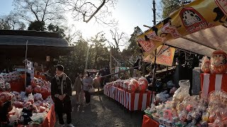 調布 深大寺のお祭り 境内は「だるま」でいっぱい [upl. by Far96]