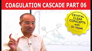 Coagulation Cascade  Part 612 [upl. by Tal]