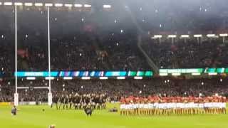 All Blacks haka NZ vs France Cardiff Rugby World Cup 2015 Quarter Final Oct 17 [upl. by Aihtnyc743]