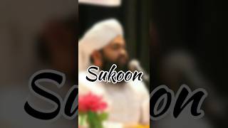 Sayyed Aminul Qadri Whatsapp Status  Sayed Aminul Qadri Sahab  Sayed Aminul Qadri Bayan Status [upl. by Yllet]