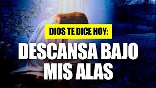 El que habita al abrigo de el altísimo alabanza inspiración cristiana Salmos 91♥️🪽 [upl. by Ycnahc]