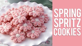 How to Use Your Cookie Press All Year Long  Springing Into Spritz [upl. by Winstonn]