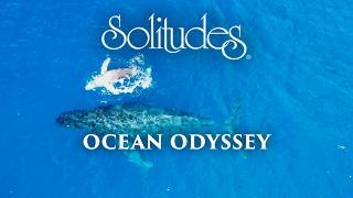 Dan Gibson’s Solitudes  In the Company of Whales  Ocean Odyssey [upl. by Okiam476]