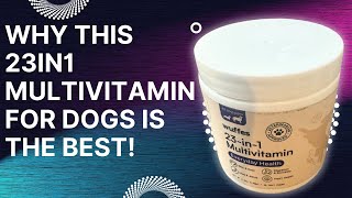 Review of 23 in 1 Chewable Dog Multivitamin [upl. by Aisad]