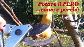 POTARE IL PERO [upl. by Mavilia]