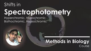 Hyperchromic Hypochromic Hypsochromic and Bathochromic Shifts [upl. by Annuahsal]