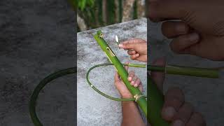 Ballistic type bamboo DIY gun diy diycrafts wildlife [upl. by Eneliak]