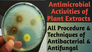 Antimicrobial activity of Plant Extracts  Agar well diffusion assay methods  RNBiology [upl. by Fransen]