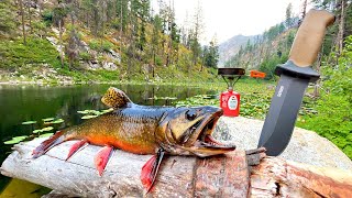 Fishing a Mountain Lake FILLED with HUNGRY TROUT Catch amp Cook [upl. by Freddy874]