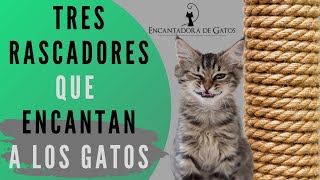 ¿QUÉ RASCADORES LE GUSTAN MÁS A LOS GATOS  Encantadora de Gatos [upl. by Assirahc911]