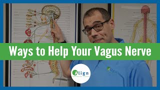 How to Stimulate Your Vagus Nerve for Mental Health  Balancing Your Nervous System [upl. by Meesan]