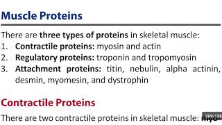 Contractile proteins  Actin amp Myosin [upl. by Stelmach985]