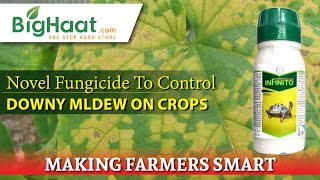 Novel Fungicide To Control Downy Mildew  BigHaat [upl. by Eachern]