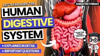 Human Digestive System Explained  Imp Topics amp Ques  3D Animation  Class 10th amp 11th [upl. by Zaraf]