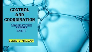 CONTROL AND COORDINATION  CONTROL IN ANIMALS  PART1 CLASS 10TH BIOLOGY [upl. by Rehtse]