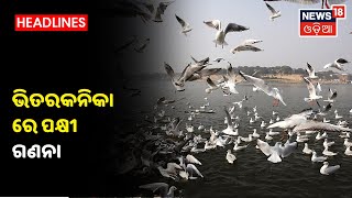 Bhitarkanikaରେ ପକ୍ଷୀ ଗଣନା Rajanagar ବନଖଣ୍ଡର 8ଟି ରେଞ୍ଜରେ ଚାଲିଛି ଗଣନା [upl. by Mohandas902]