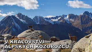 V KRÁLOVSTVÍ ALPSKÝCH KOZOROŽCŮ  Černé jezero v údolí Formazza [upl. by Uticas507]