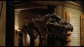 Night At The Museum  Throw the Bone [upl. by Pulling]