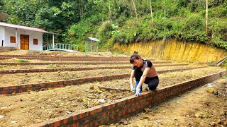 Use bricks sand and cement to divide the vegetable garden into many small plots  Ban Thi Diet [upl. by Ymiaj]