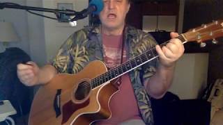 Townes Van Zandt guitar lesson lungs strumming lesson [upl. by Eelram293]