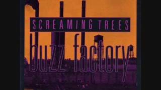 Screaming Trees  Revelation Revolution [upl. by Sosthenna]