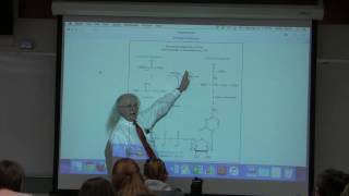 11 Aherns BB 350 at Oregon State University  Enzyme Control [upl. by Aisatal953]