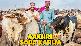 Bakra eid 2023 ka akhri soda karlia Alhamdulillah 🐂 kitne janwar lye [upl. by Larkins558]