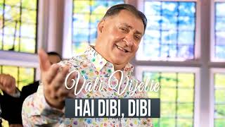 Vali Vijelie  Hai dibi dibi Official Music 2024 [upl. by Vernon]