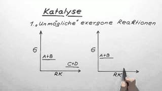 Katalyse  Chemie  Organische Chemie [upl. by Ettenahc827]