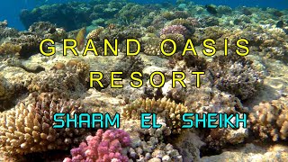 GRAND OASIS RESORT 4 Шарм Эль ШейхОбзор пляжа и кораллового рифа [upl. by Lotta]