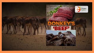 Donkey’s ‘Beef’  Activists against illicit slaughter of donkeys [upl. by Ellednek]