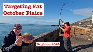 Brighton Plaice Chase [upl. by Sherborn]