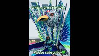 Caribana Fest Toronto 2024 💚🇨🇦caribana toronto torontocanada festivalvibes [upl. by Landry]