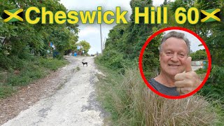 Exploring Cheswick St Thomas Jamaica A Peaceful Stroll up Hill 60  Nature Residents amp Adventures [upl. by Arakal]