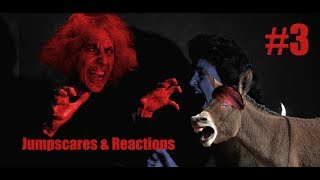 Braying Like A Jackass  jumpscare amp reaction montage 3 [upl. by Enna325]