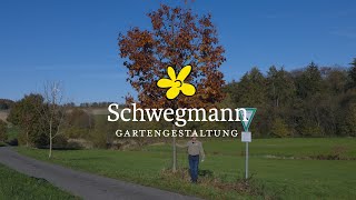 Gartengestaltung Schwegmann – Der Baum des Jahres 2025 – die Roteiche [upl. by Taffy883]