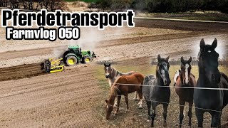 Staubiges Ackern  Pferdetransport 🐴 Osterroadtrip zu den Sorben  Farmvlog 050 [upl. by Antony]