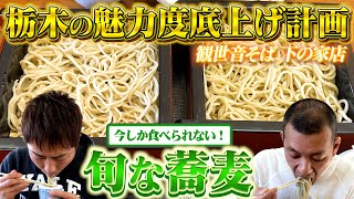 【栃木ロケ】今しか味わえない絶品蕎麦を堪能！！ [upl. by Gaston]