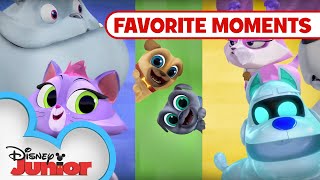 Puppy Playcare Part 1 🐾 Compilation  Puppy Dog Pals  Disney Junior [upl. by Lua]