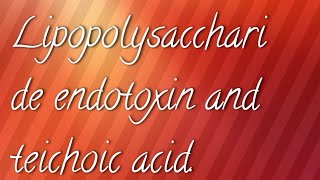 Lipopolysaccharide LPS  endotoxin and teichoic acid [upl. by Maison]