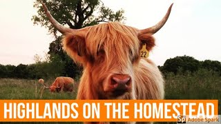 Are highlands good for hobby farms and homesteads [upl. by Krock]